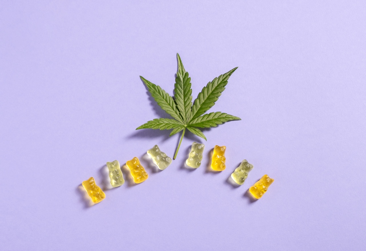 Cientistas detectam cannabis no hálito após uso de comestíveis