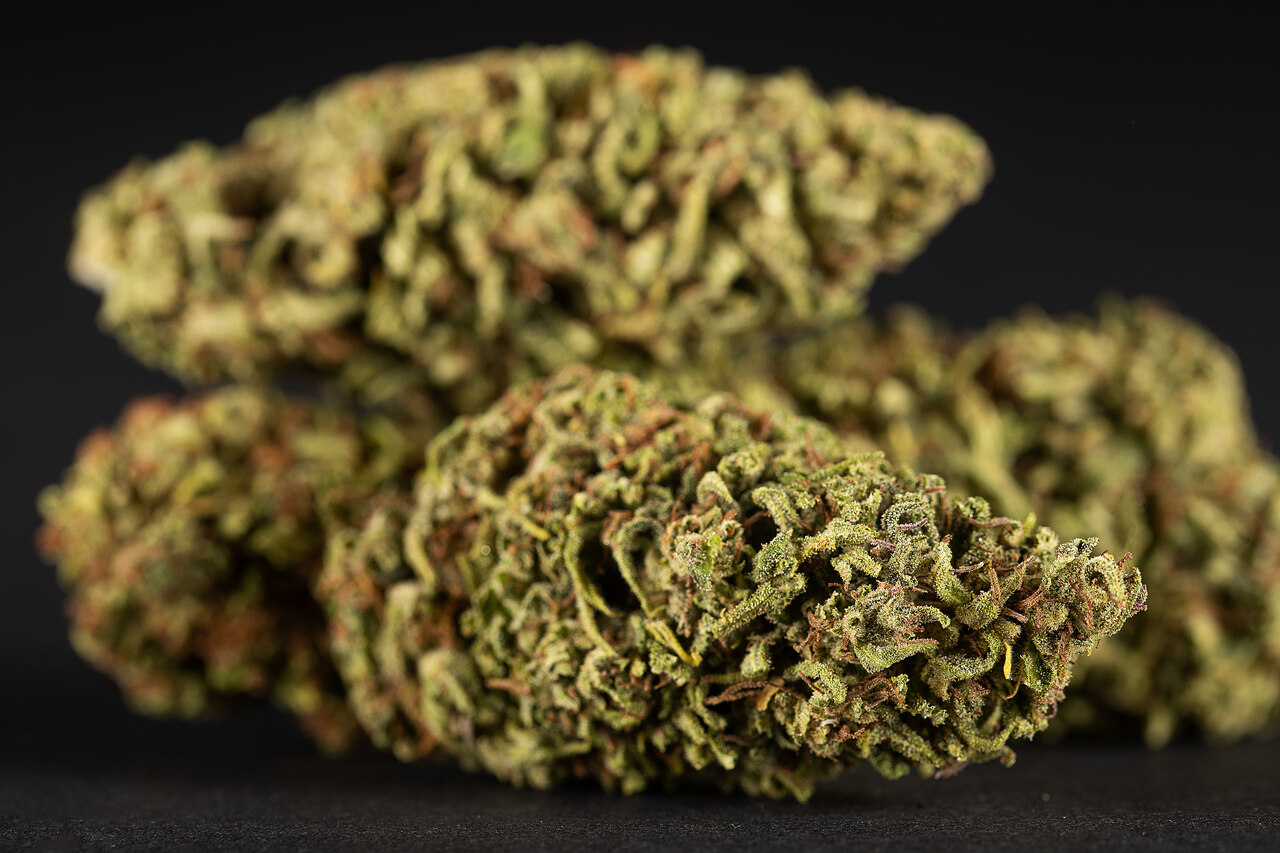 Como identificar uma maconha de qualidade Guia completo Como identificar uma maconha de qualidade Guia completo
