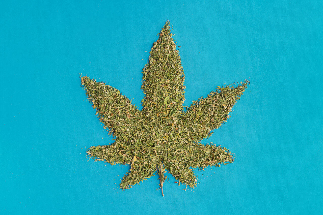 Maconha faz mal O que dizem os estudos Maconha faz mal O que dizem os estudos