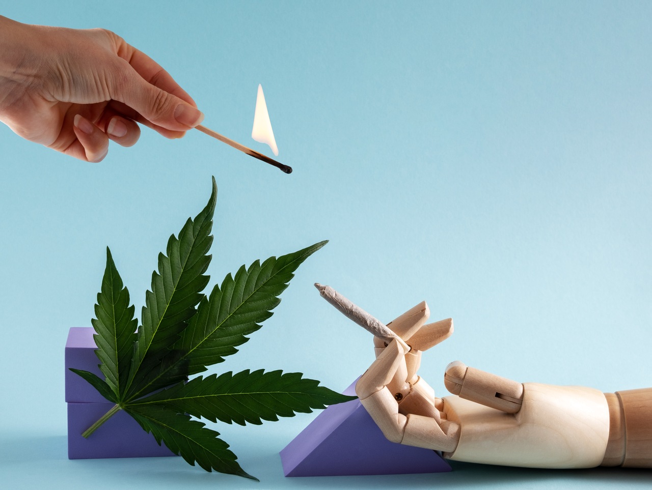 Maconha faz mal O que dizem os estudos Maconha faz mal O que dizem os estudos