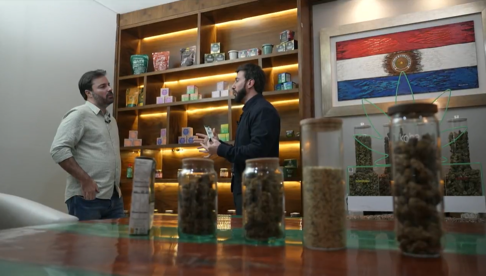 A reportagem do Globo Rural visitou um fabricante de alimentos à base de cânhamo no Paraguai