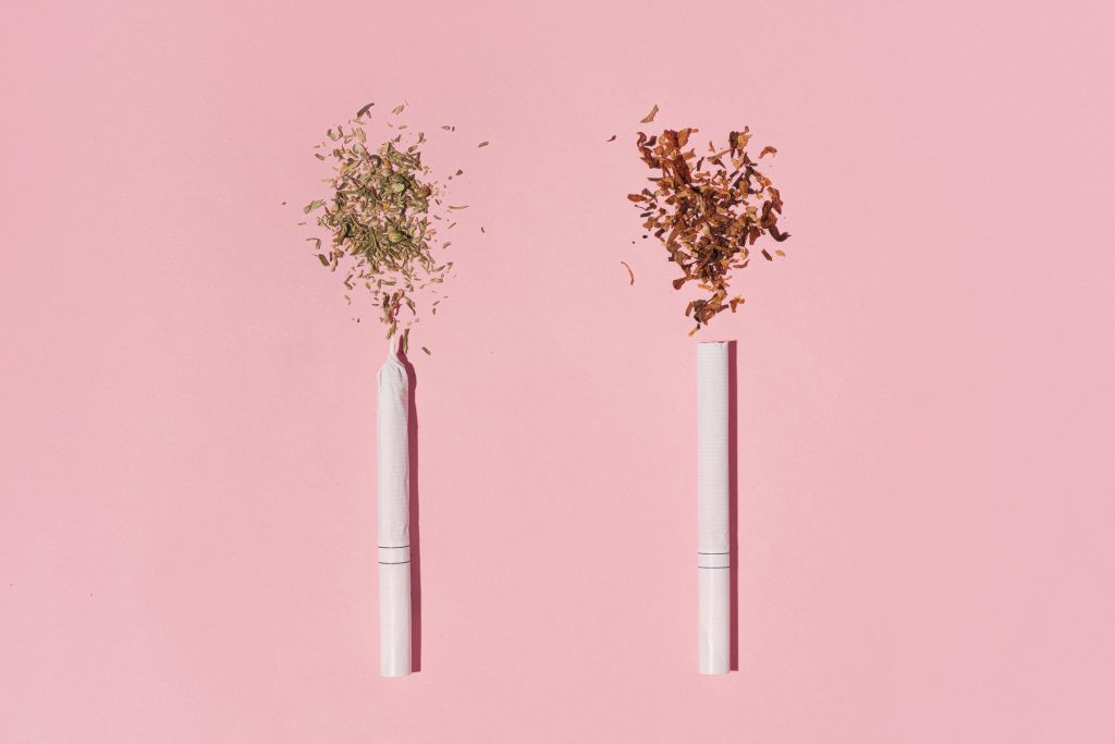 Cannabis vs tabaco: impactos respiratórios e dependência Cannabis vs tabaco: impactos respiratórios e dependência