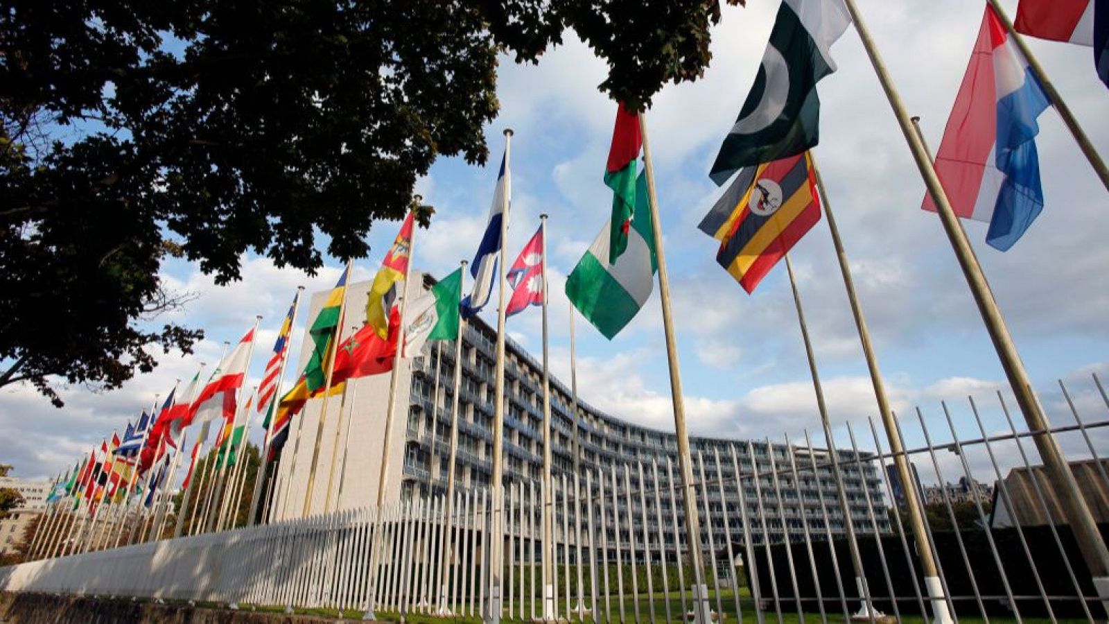 Unesco traz cannabis para debate cultural mundial inédito Unesco traz cannabis para debate cultural mundial inédito