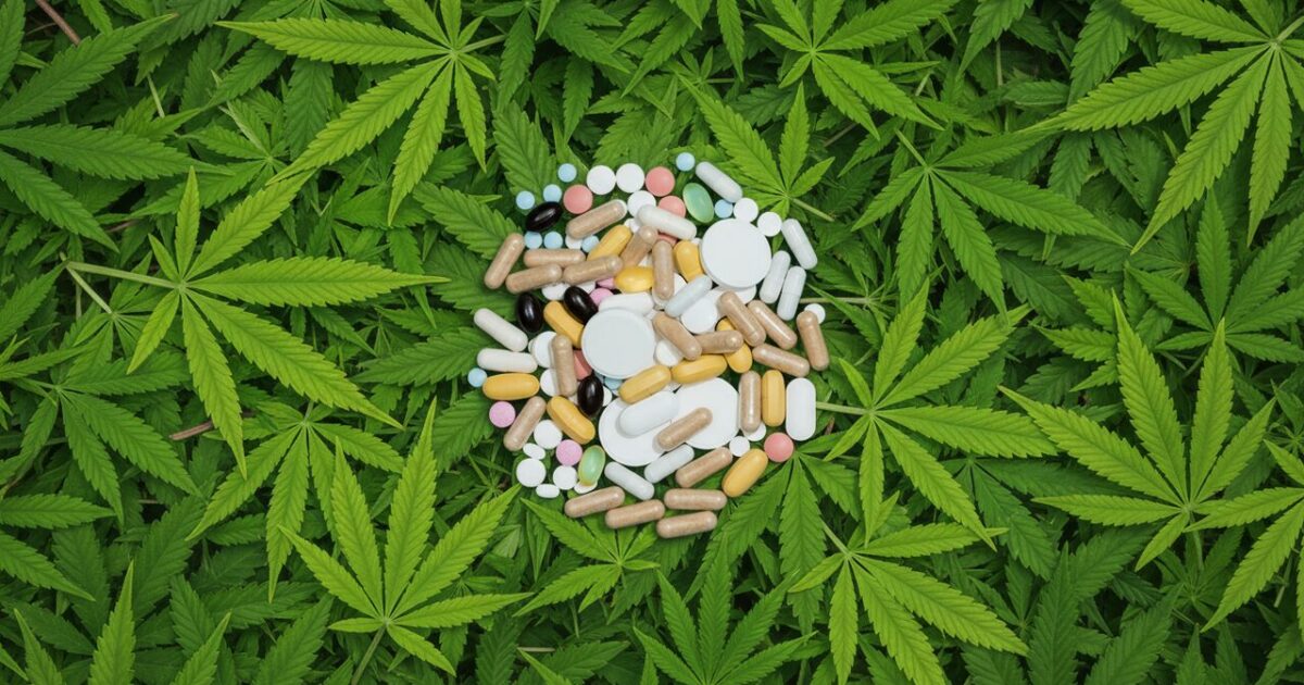 É possível substituir o Escitalopram pelo CBD?