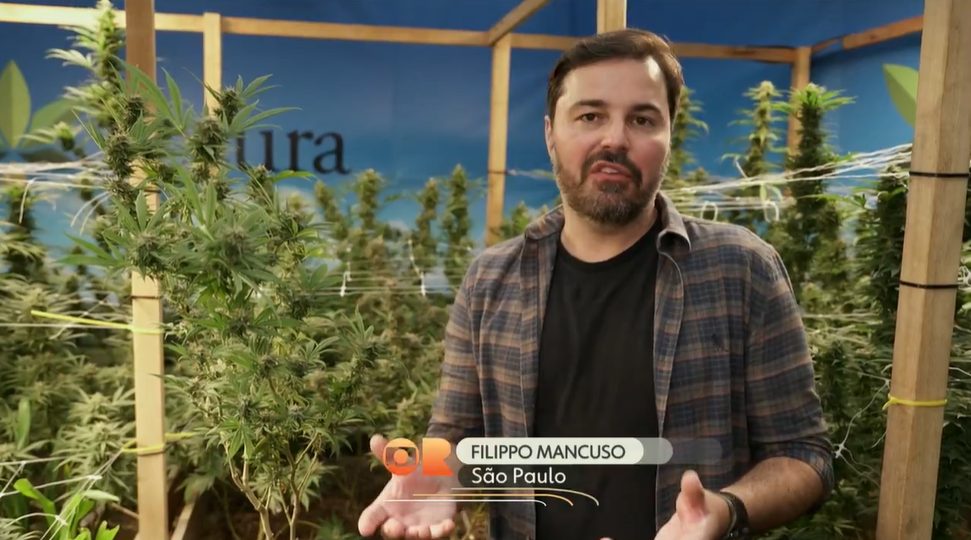 Filippo Mancuso, repórter do Globo Rural, falando sobre cannabis