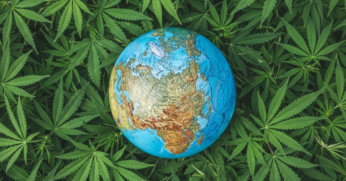 Por que alguns países não exigem receita para cannabis?