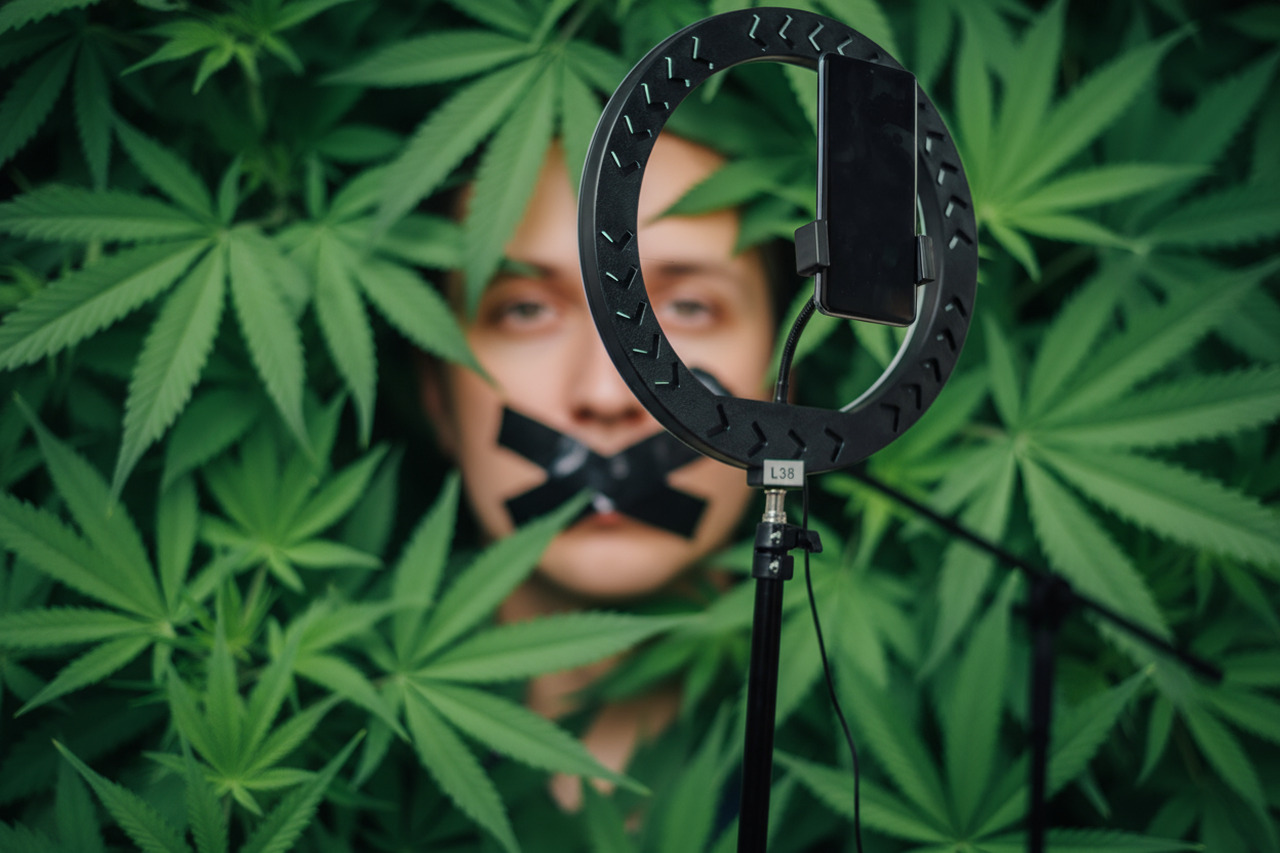 Censura digital e o impacto nas vozes da cannabis Censura digital e o impacto nas vozes da cannabis