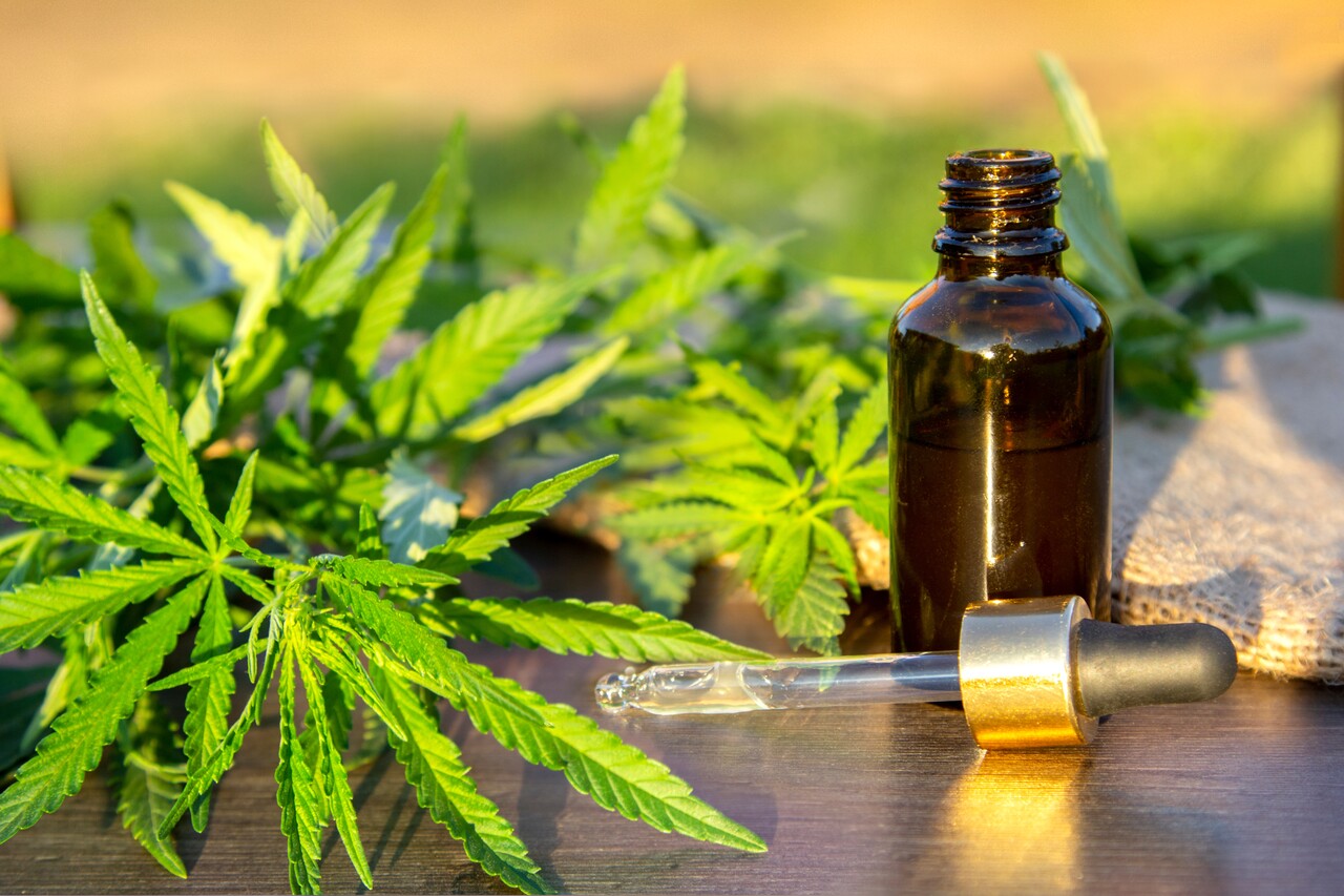 Como a direita liderou a regulamentação da cannabis no Brasil