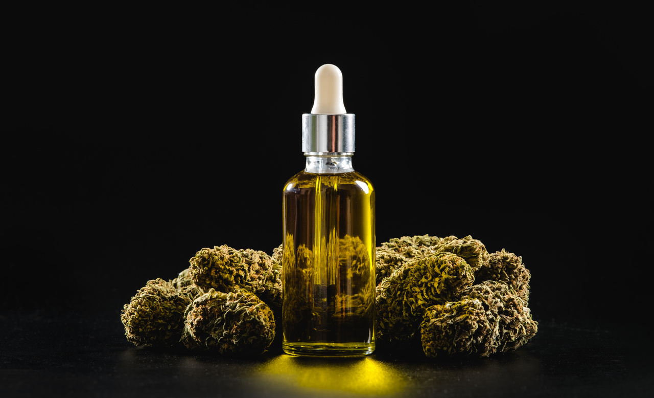 Pacientes de cannabis 5 direitos que você precisa saber Pacientes de cannabis 5 direitos que você precisa saber