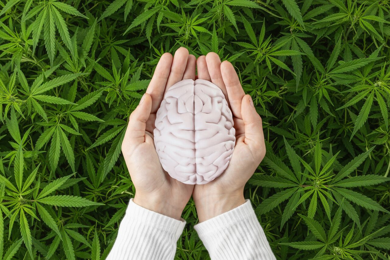 Tratando a saúde mental: Qual o melhor método? Tratando a saúde mental: Qual o melhor método?