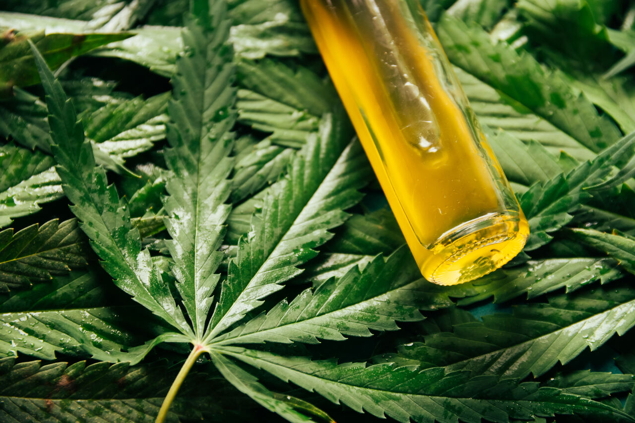 Vereadora questiona compra de CBD em SP na Justiça Vereadora questiona compra de CBD em SP na Justiça