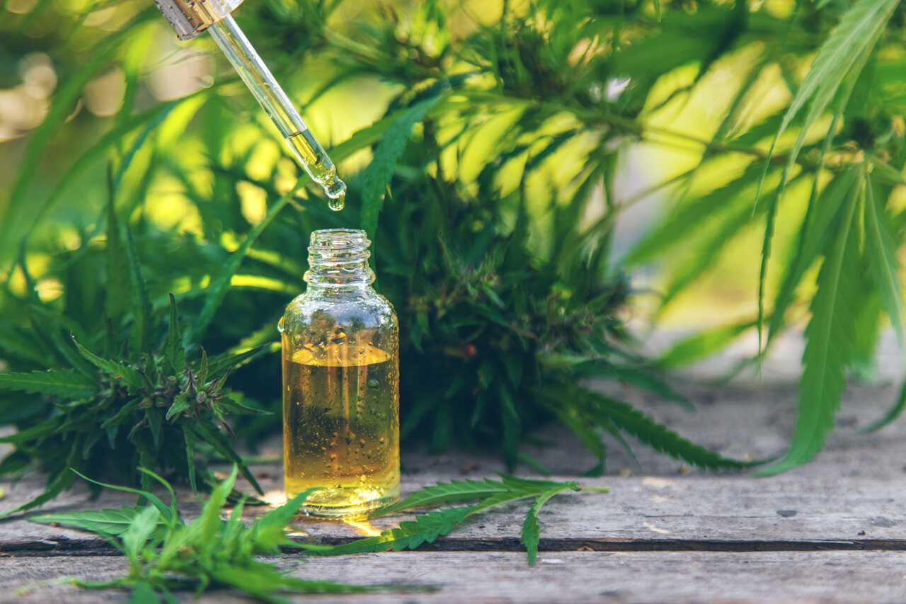 Anvisa proíbe empresas e produtos de cannabis Anvisa proíbe empresas e produtos de cannabis