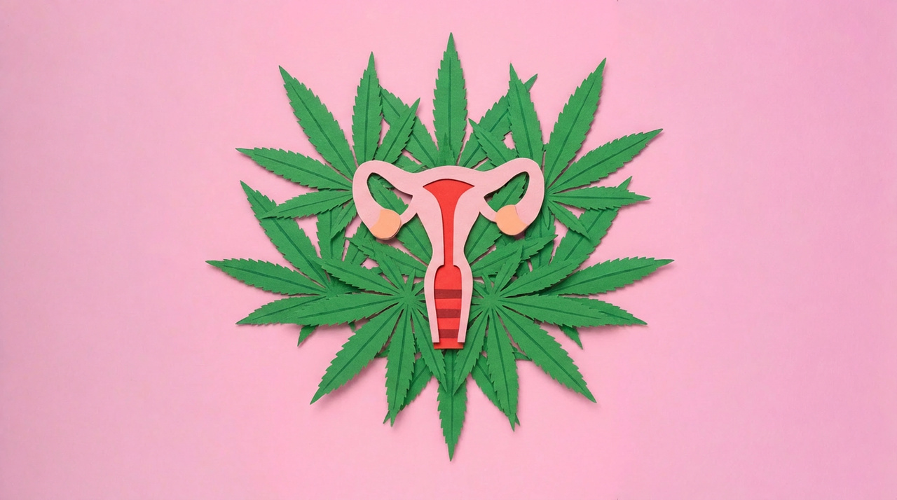 Endometriose uma longa jornada, um diagnóstico importante Endometriose uma longa jornada, um diagnóstico importante