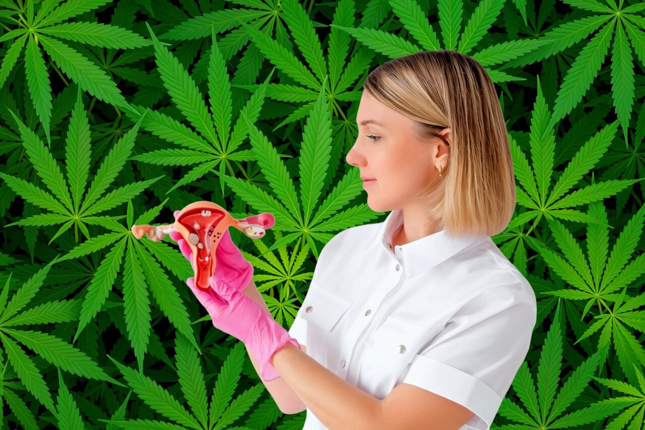 Estudo revela que cannabis pode inibir células de câncer de ovário