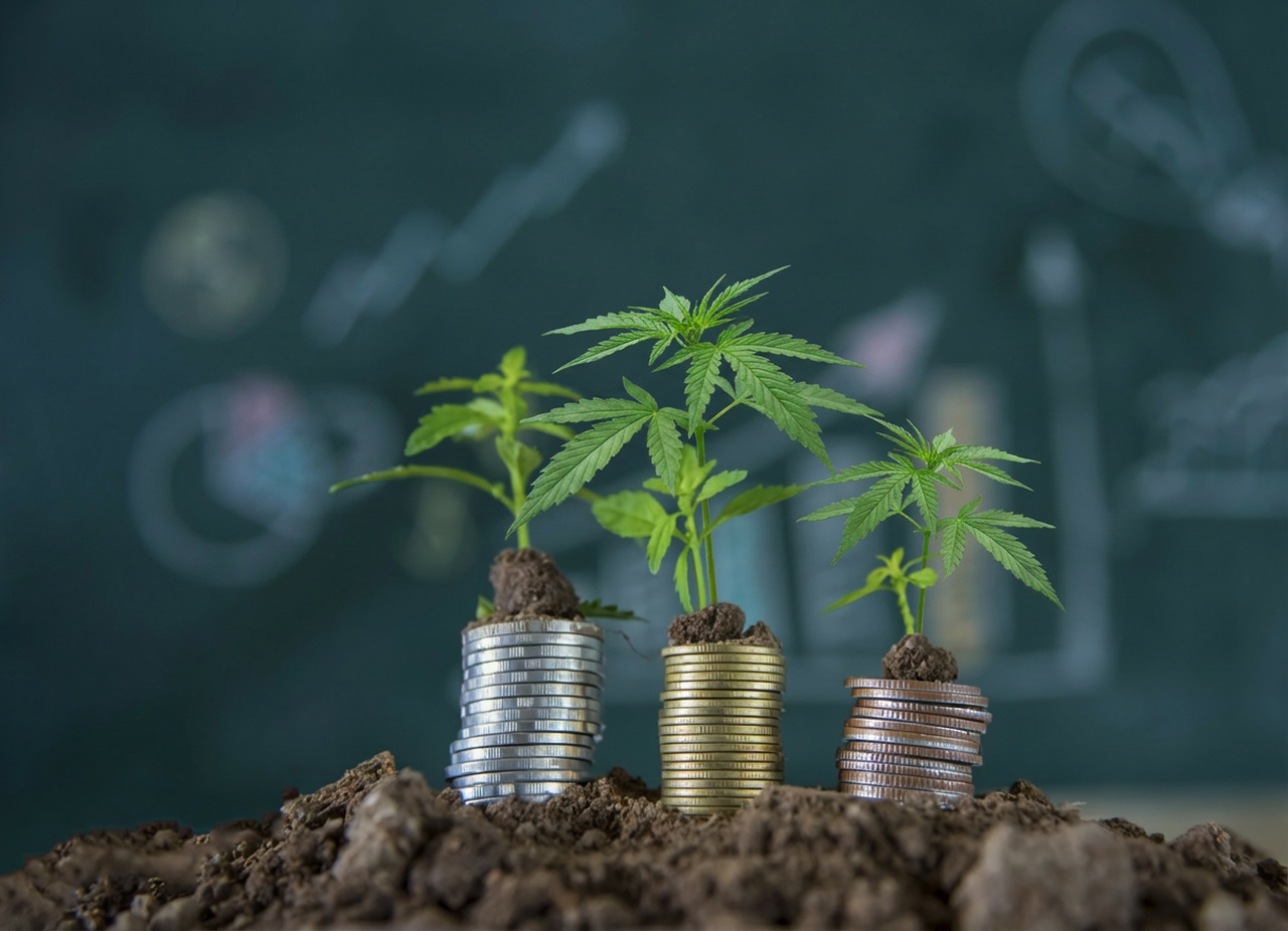 Mercado de cannabis medicinal cresce 14% e se aproxima de R$ 1 Bi