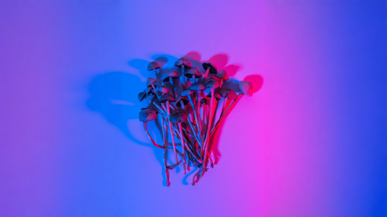 Microdoses de psilocibina alternativa para saúde mental e dor Microdoses de psilocibina alternativa para saúde mental e dor