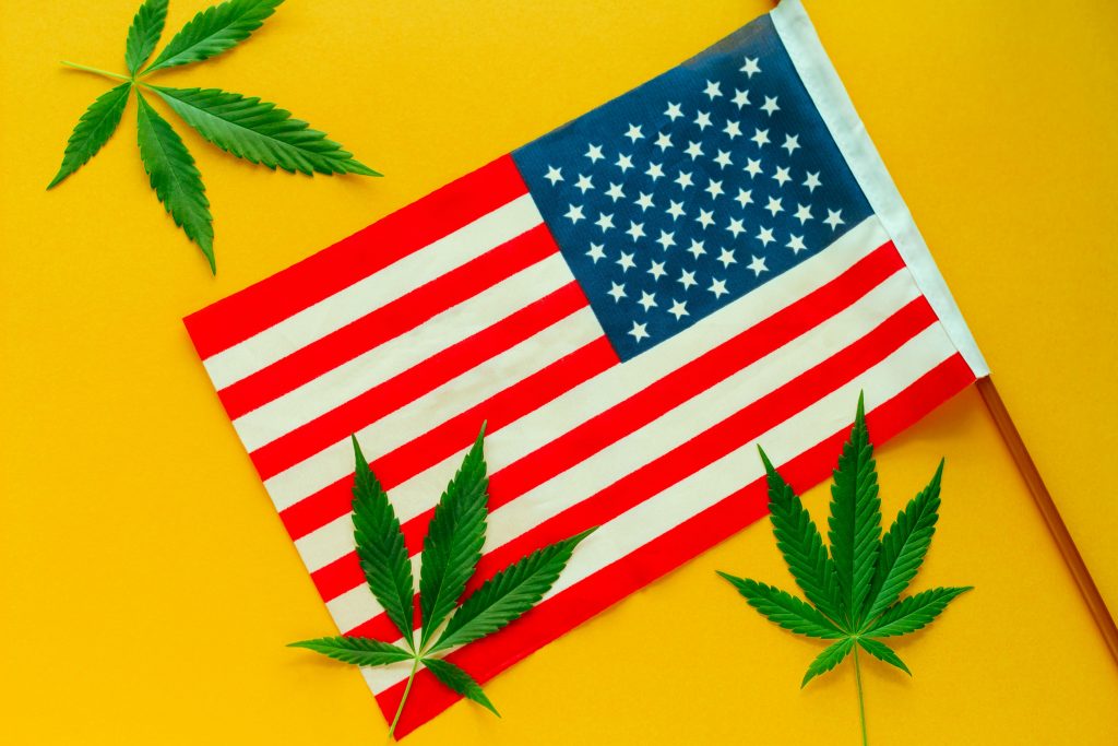Regulação contraditória da cannabis nos EUA expõe impasse Regulação contraditória da cannabis nos EUA expõe impasse