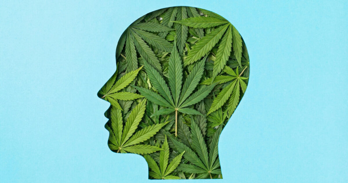 Saúde mental: 3 condições tratadas com a cannabis
