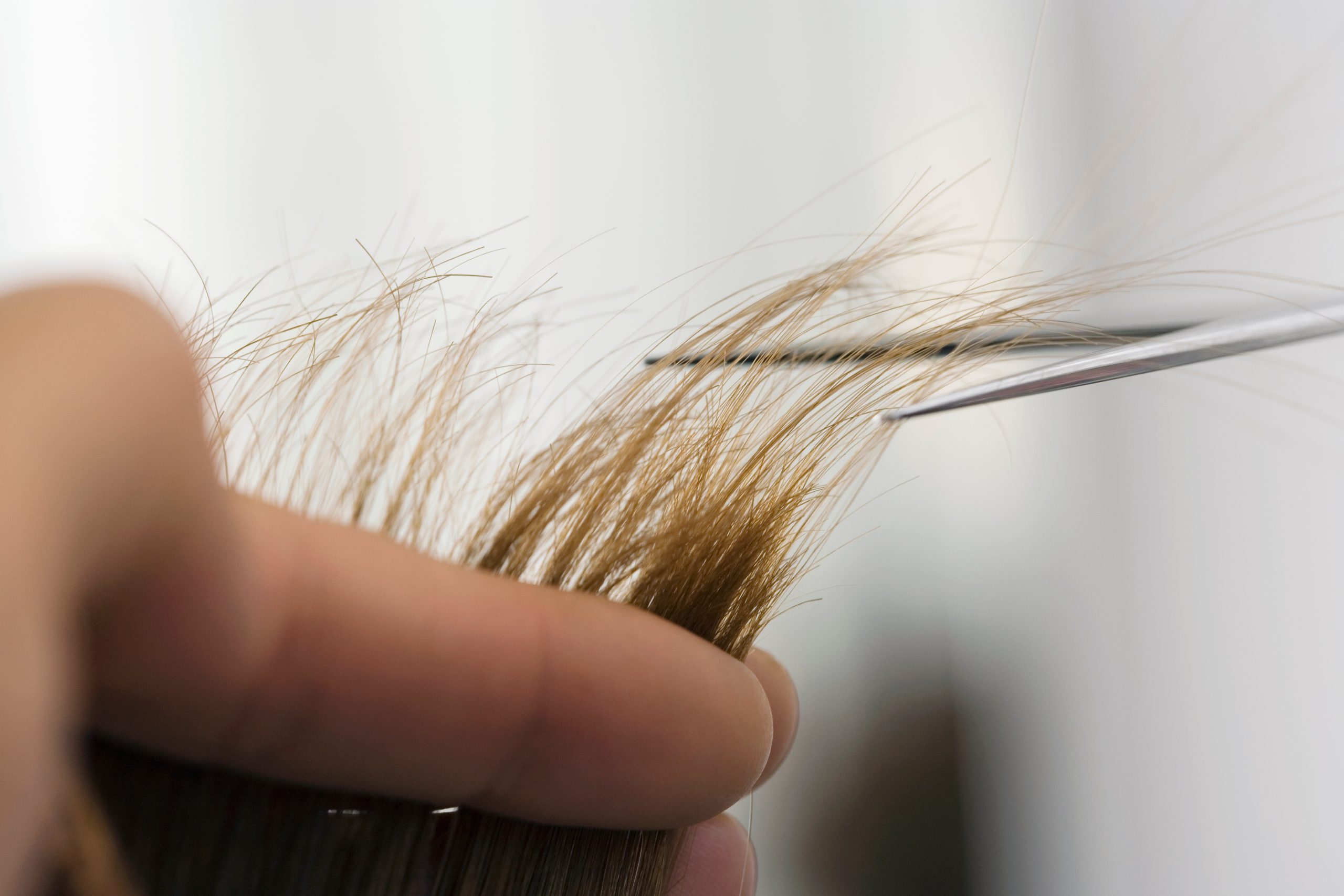 pessoa retirando amostra de cabelo para exame toxicológico