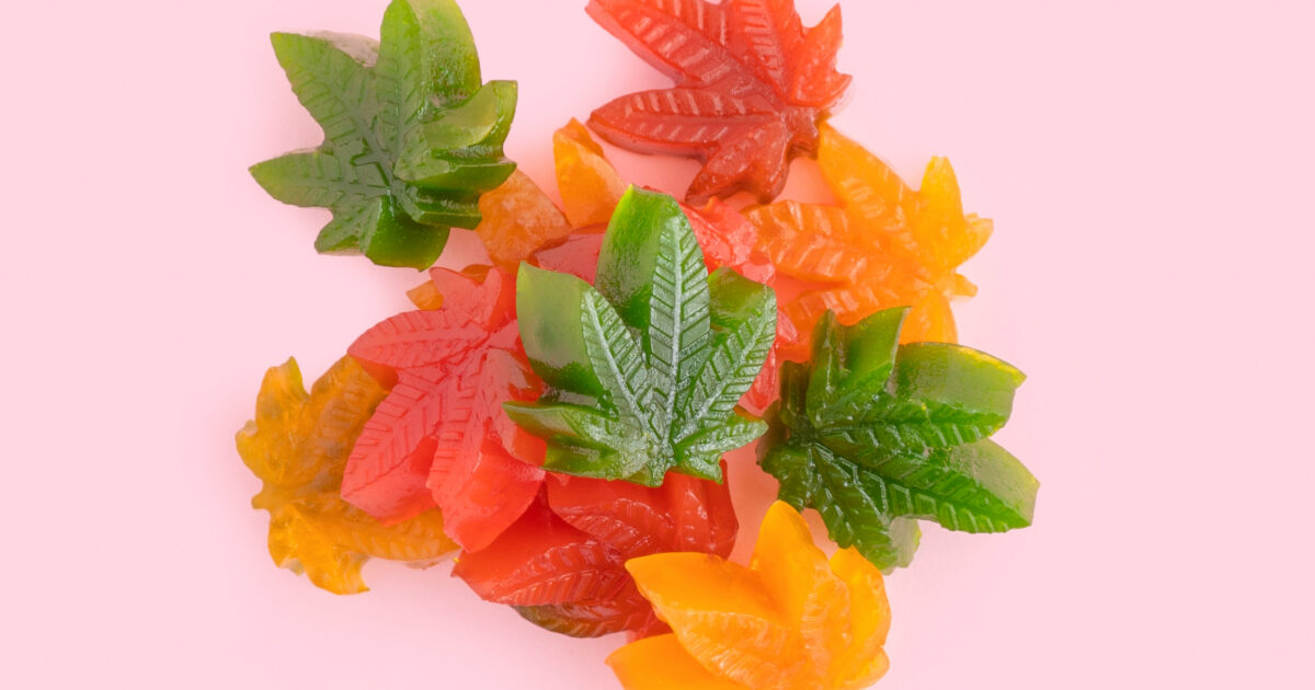 Gummies de cannabis ajudam no foco? Entenda
