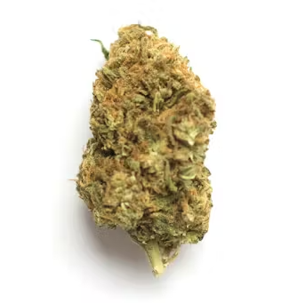 Bubble Gum, adaptada para reduzir ao máximo os níveis de THC, sem perder suas características químicas. Foto: Leafly