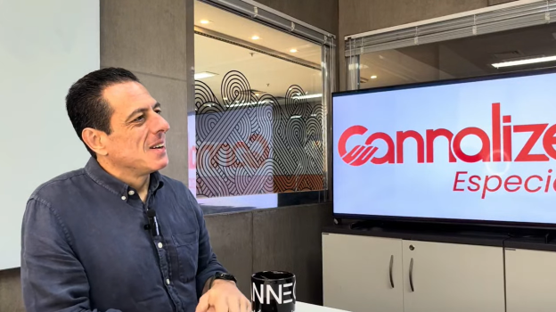 A estratégia de Allan Paiotti para o futuro da cannabis