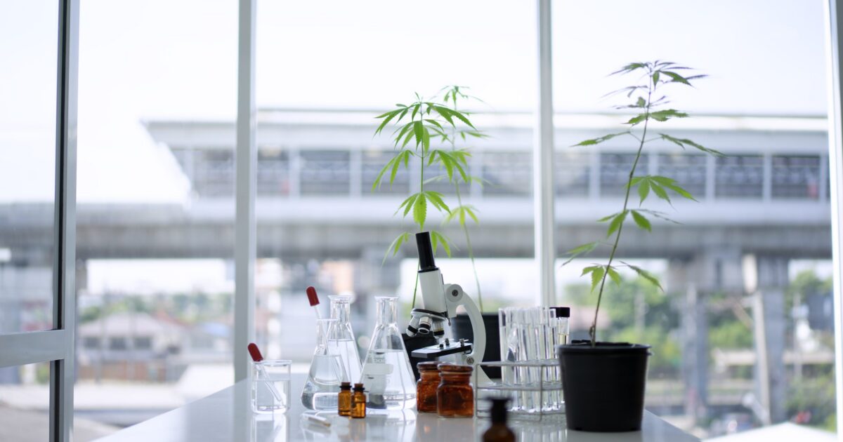 Cannect e FoliuMed se unem para mais evidências científicas