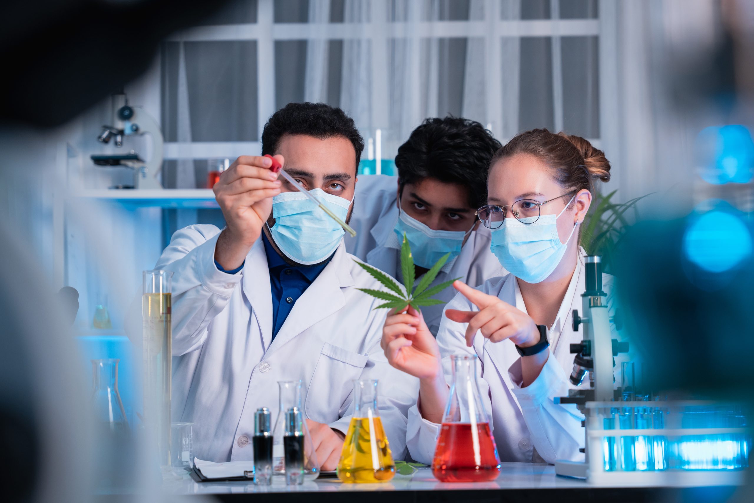 grupo de cientistas procurando evidências cientificas sobre o THC grupo de cientistas procurando evidências cientificas sobre o THC