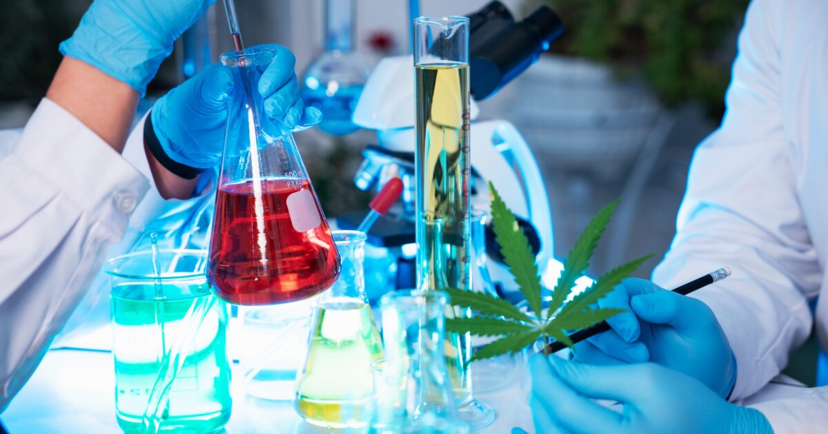 Por que a Big Pharma pode usar THC e a planta enfrenta restrições?