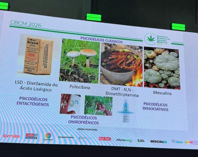 O CBCM usou psicodélicos para abrir a mente da medicina psicodelicos cbcm