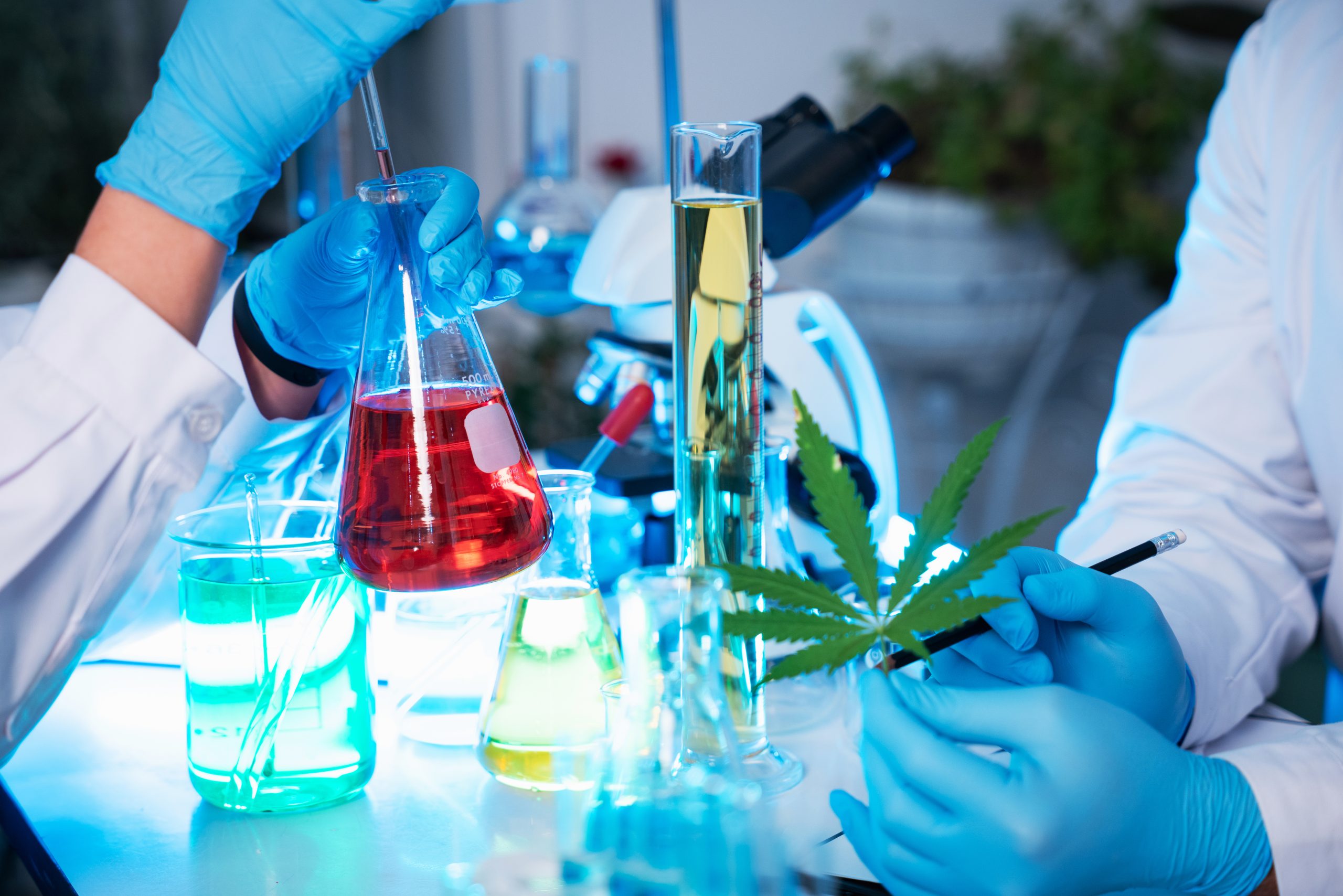 THC da Big Pharma testado em laboratório THC da Big Pharma testado em laboratório