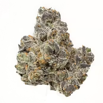 apple fritter