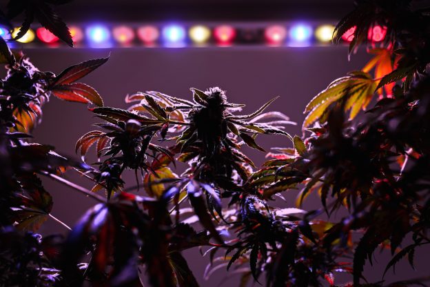 Data centers de IA começam a mirar imóveis de cannabis