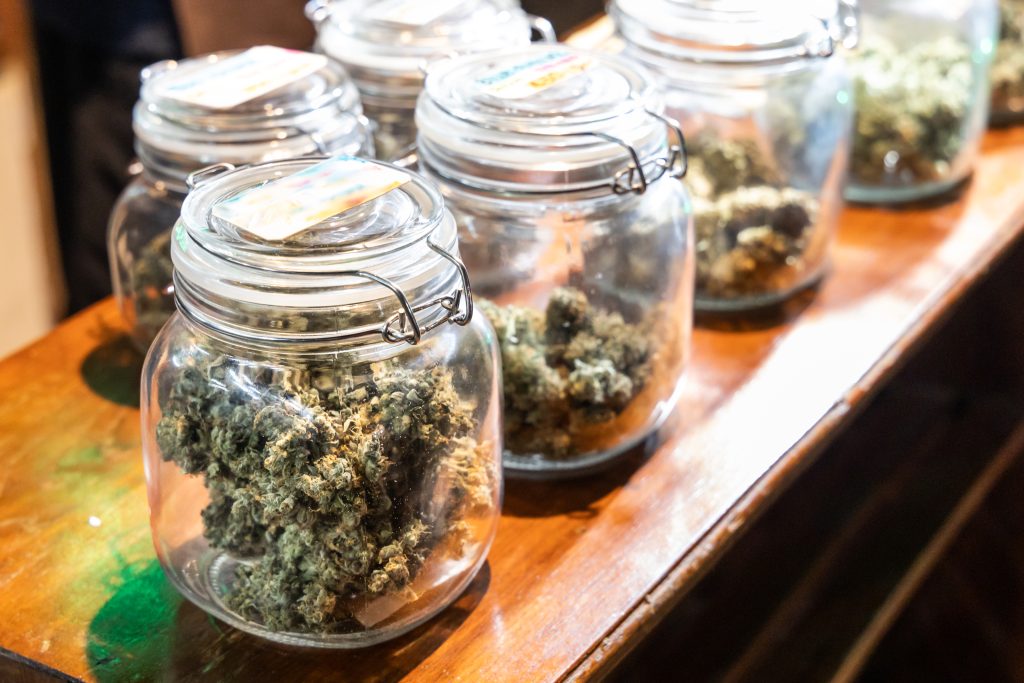 Europa restringe flores e amplia foco em cannabis padronizada Europa restringe flores e amplia foco em cannabis padronizada