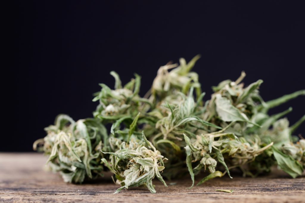 Sementes na flor indicam que ela foi polinizada Sementes na flor indicam que ela foi polinizada