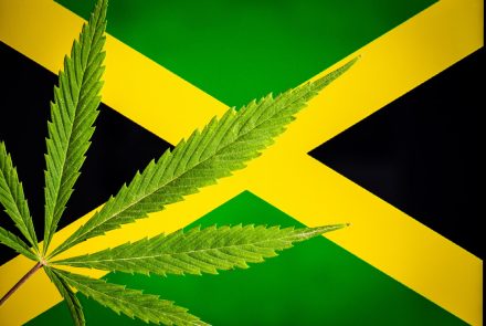 Empresa jamaicana traz óleos com até 1% de THC para o Brasil
Foto: Freepik