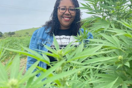 Justiça autoriza o cultivo e a produção de cannabis medicinal pela AbraRio
Foto: AbraRio