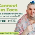 Cannabis: como está o panorama político e medicinal no Brasil?