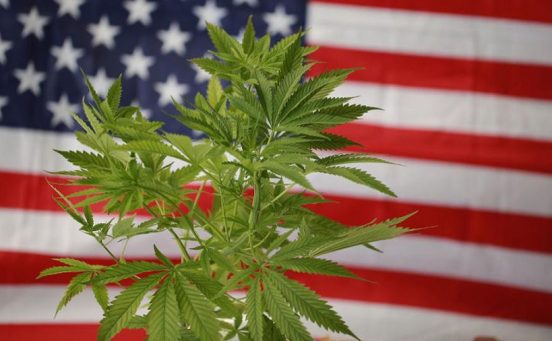 EUA-aprova-legalizacao-da-cannabis.jpg