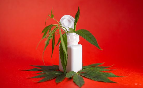 cannabis-bush-and-a-bottle-for-cosmetics-on-a-red-background-1024x683-1.jpg