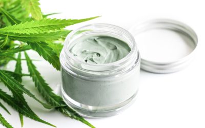 CBD cosmetics. Green cannabis plant and jar with a moisturizing rejuvenation cream.