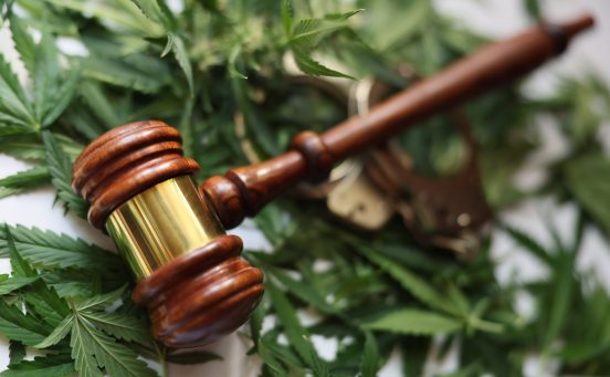 Juiz pede quebra de sigilo em ação sobre o cultivo de cannabis 
Foto: Freepik