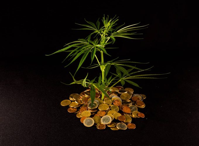 Picture of Marijuana and Money Cannabis Business Concept