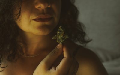 As brasileiras que influenciam a história da cannabis
Foto: Freepik